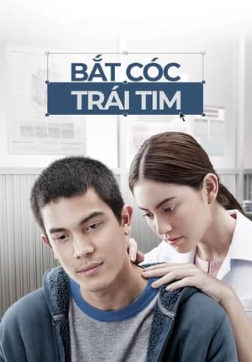 Bắt Cóc Trái Tim 2015