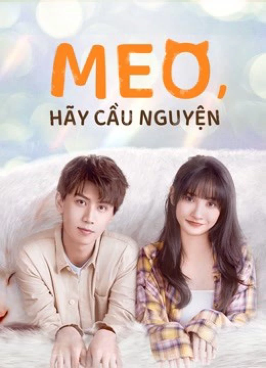 Meo, Hãy Cầu Nguyện 2021