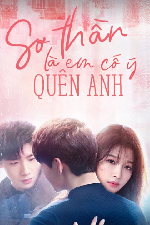 Sơ Thần, Là Em Cố Ý Quên Anh 2019